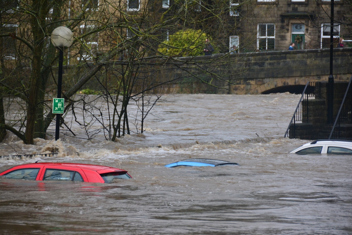 Disaster Management